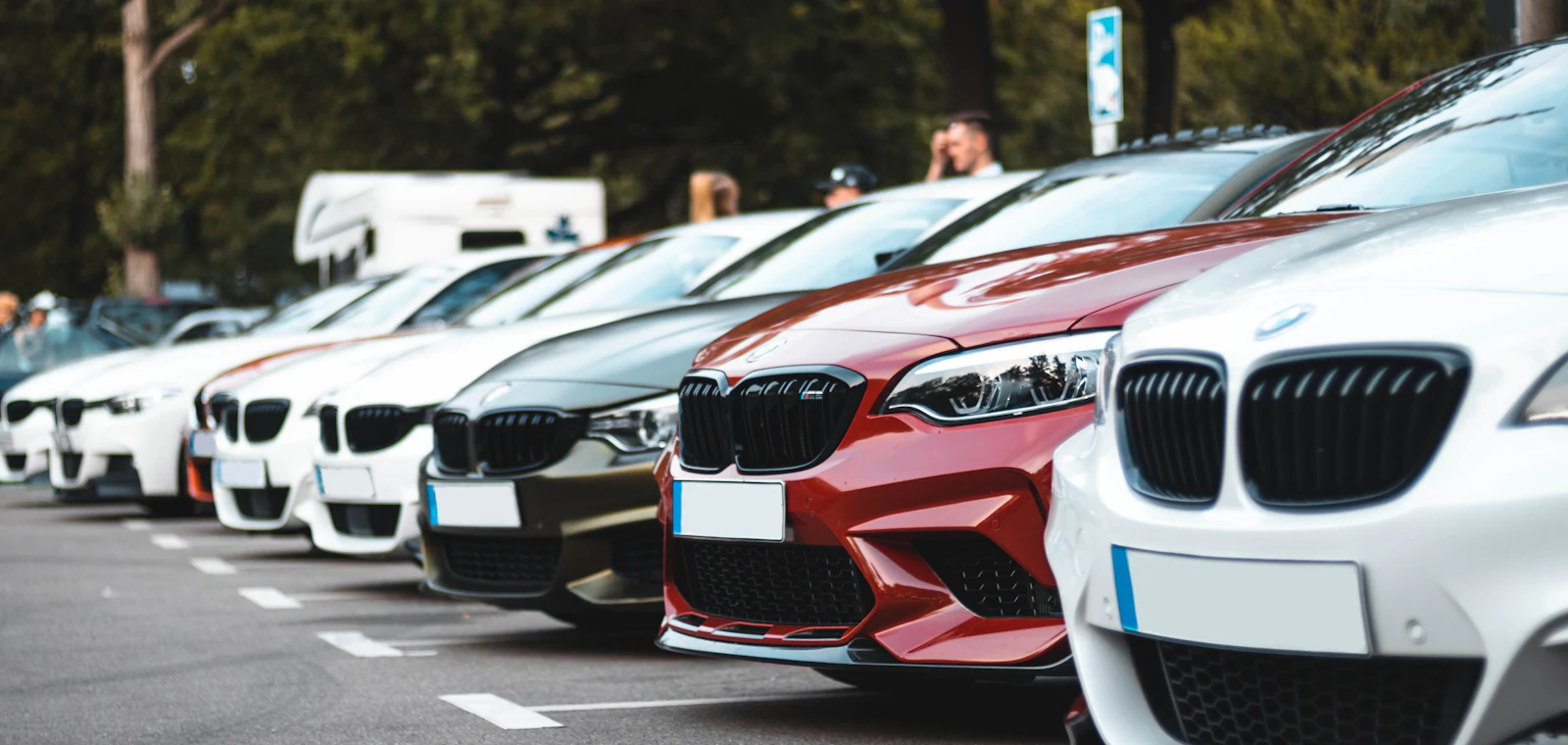 A lineup of cars parked in a row at an independent car rental agency