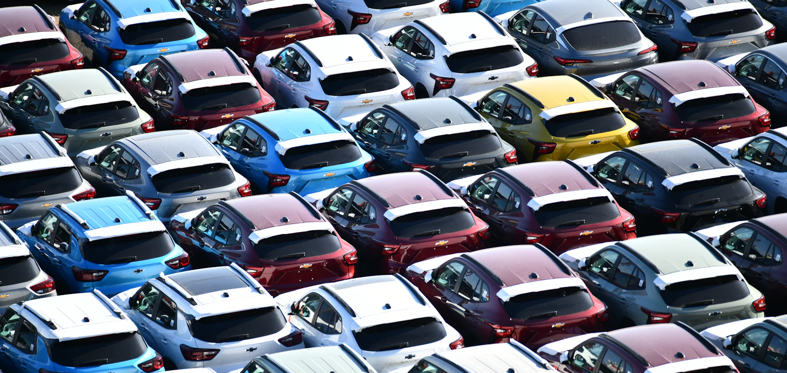 Rows of new cars, a fleet for a new car rental business